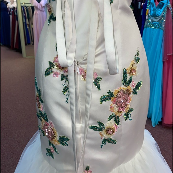 Prom Dress - Picture 5 of 6